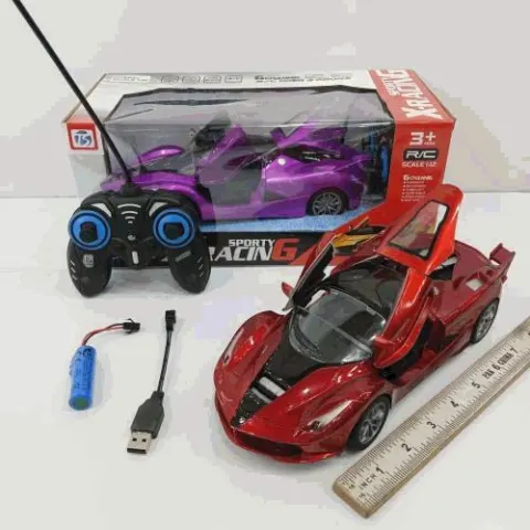 Remote Control Sports Racing Car with Charger